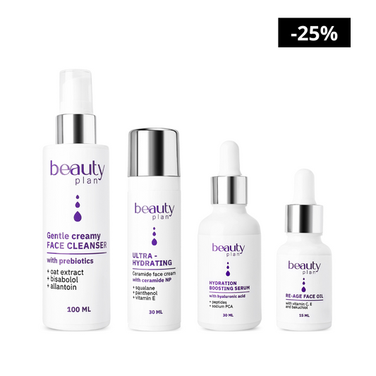 VEIDO PRIEŽIŪROS RINKINYS MAX